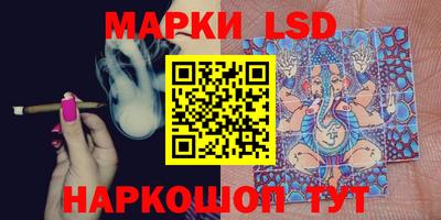 стафф Можга