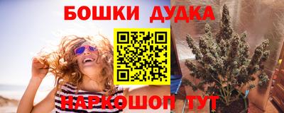 стафф Можга